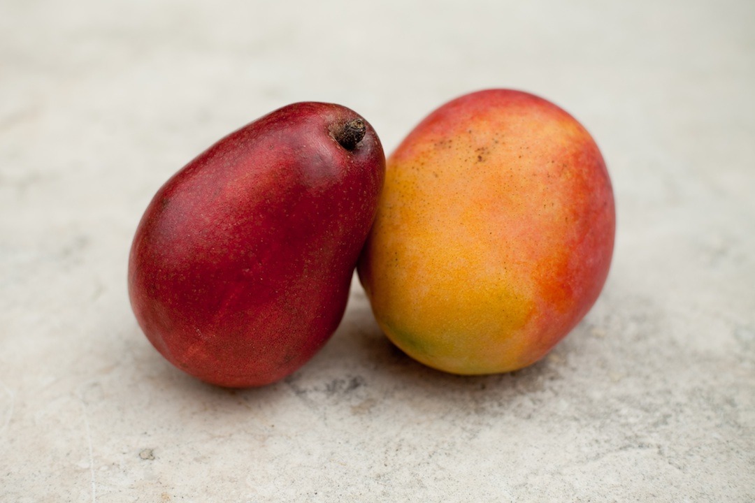 Two ripe mangos on cement surface