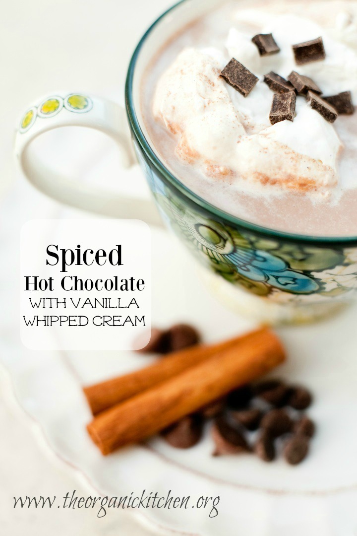 Spiced Hot Chocolate with Vanilla Whipped Cream in a colorful mug on a white plate with cinnamon sticks and chocolate chips