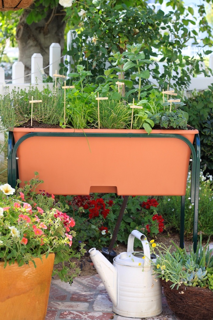 How to Plant a Raised Bed Herb Garden: Recipes Using Herbs | The