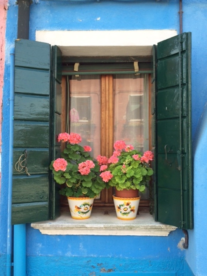 A beautiful window with flower pots in Burano Italy