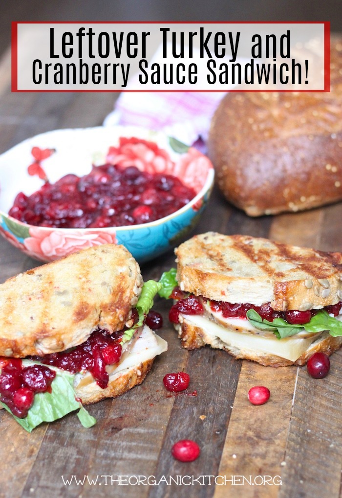 Leftover Turkey and Cranberry Sauce Sandwich!