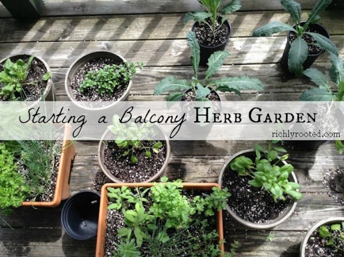 Gardening Tips for Every Space!