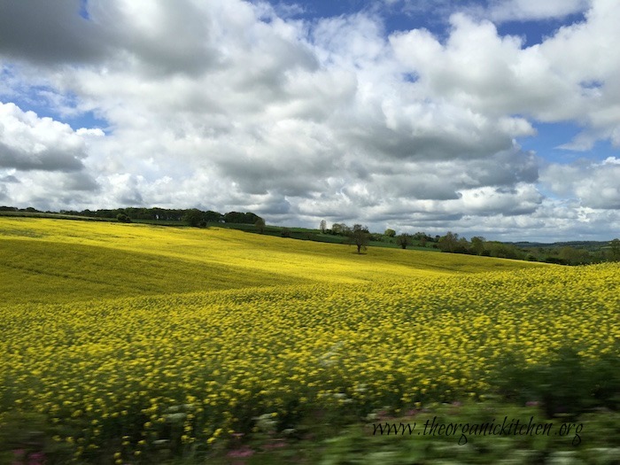 Eating Our Way Across Europe London Part 2: A Day Trip to The Cotswolds For Scones and Clotted Cream