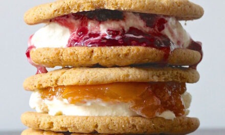 Almond Butter and Jam Ice Cream Cookie Sandwich