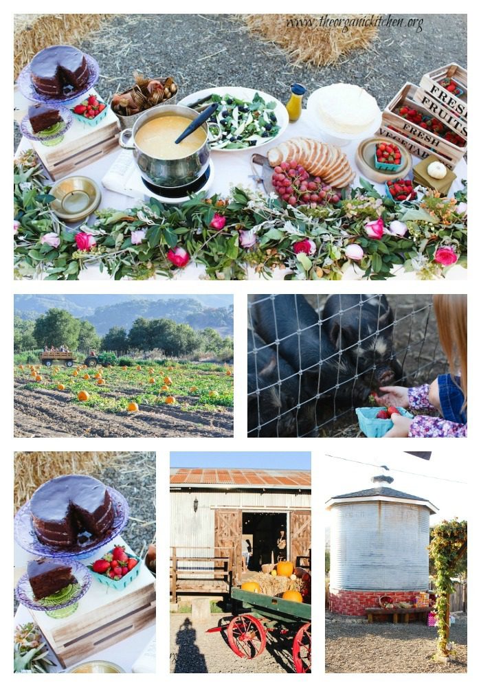 The Farmstead Party and Chocolate Salted Caramel Cake