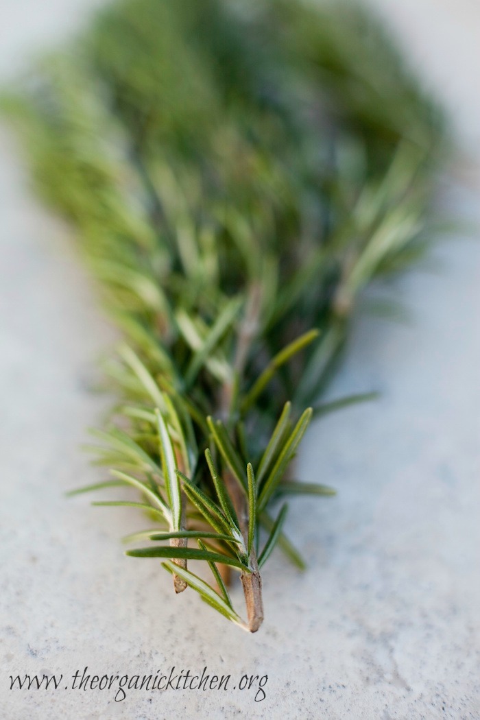 A Sprig of Rosemary on marble surface to be used in Butternut Squash 'Fries' 