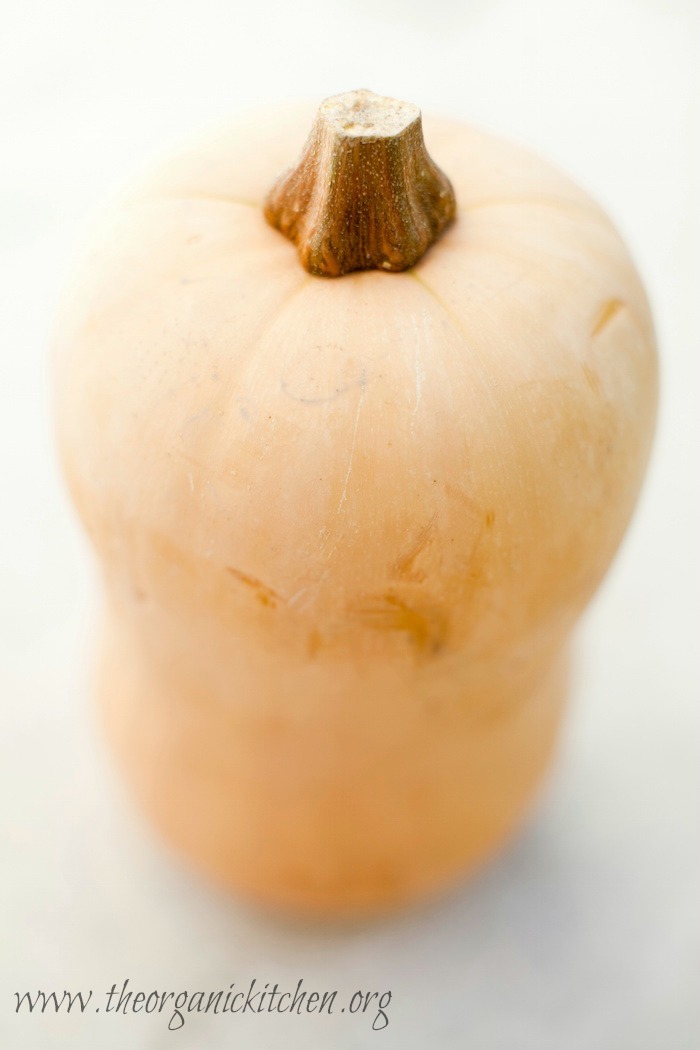 A butternut squash on marble surface for use in Rosemary Butternut Squash 'Fries'