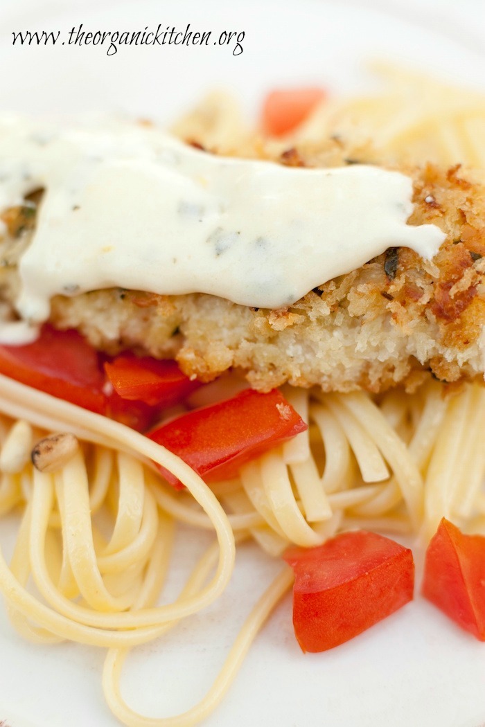 Parmesan Crusted Chicken Tenders Over Pasta with Cream Sauce