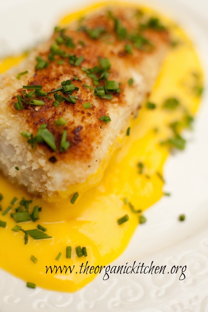 This Macadamia Nut Crusted Halibut with Mango Sauce on white plate