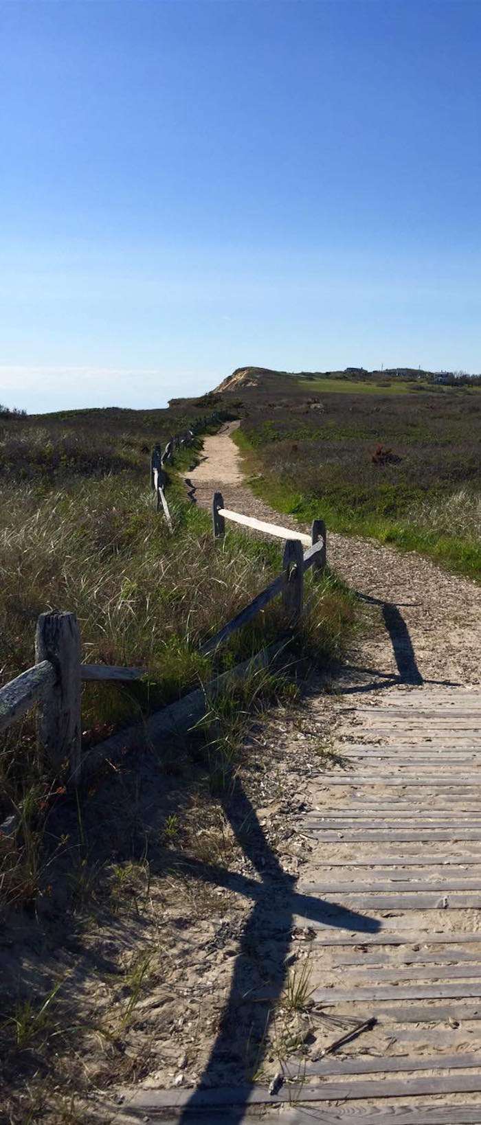 A beach pathway with fence on Martha's Vineyard