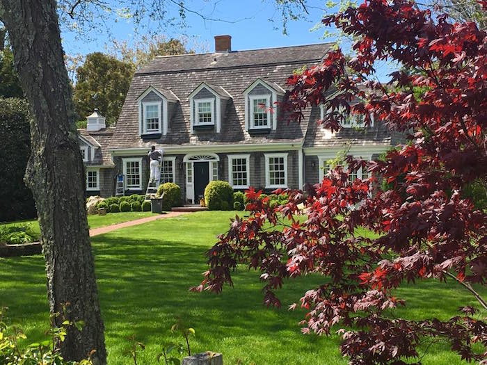 A Cape Cod style house with a maple tree on Martha's Vineyard!