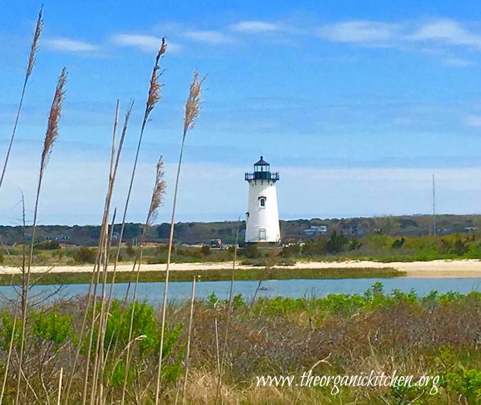 A beautiful white light house seen through beach grass