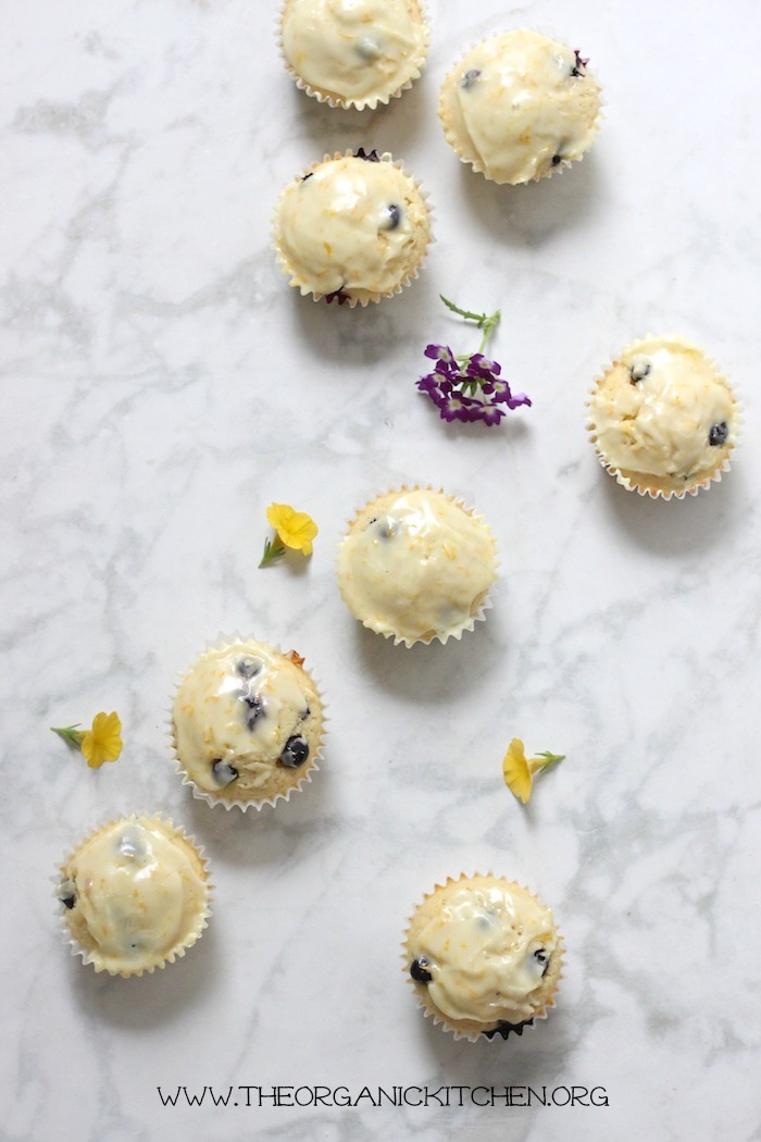 Eight Orange Blueberry Buttermilk Cupcakes garnished with flowers on a marble surface