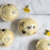 Orange Blueberry Buttermilk Cupcakes