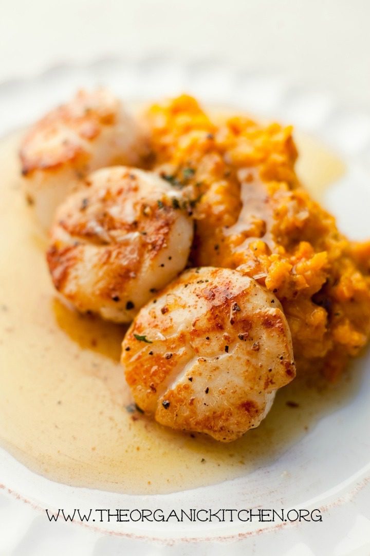Seared Scallops with Butternut Squash Puree The Organic Kitchen Blog