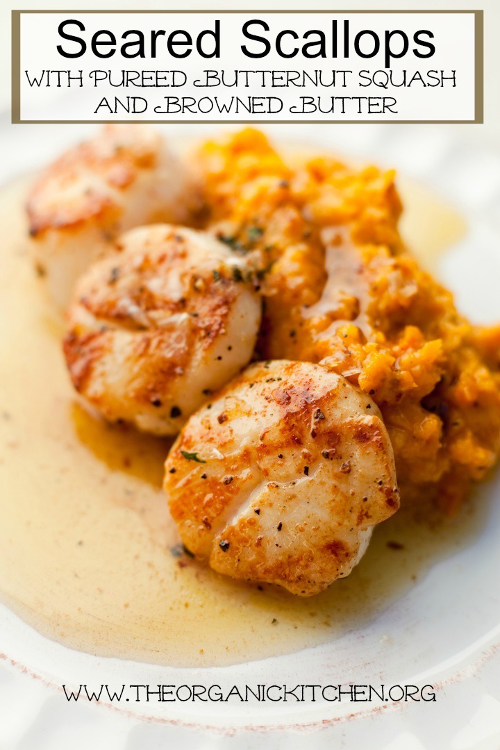 Seared Scallops with Butternut Squash Puree on white plate