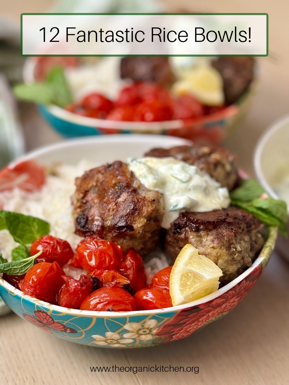 Two beautiful rice bowls with meatballs, tomatoes, mint and sauce on wood table as part of 12 Fantastic Rice Bowl Recipes