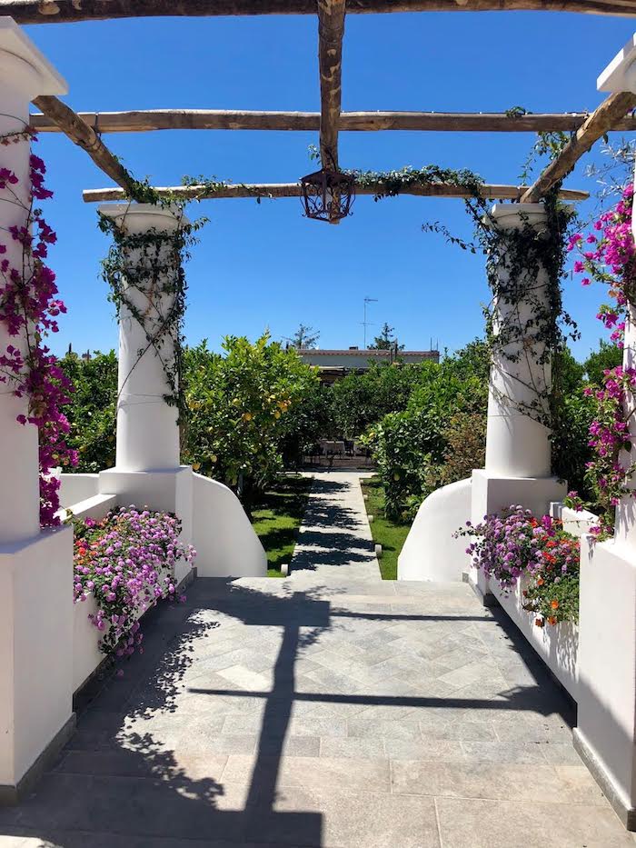 A beautiful sculpted garden and wood pergola on the Island of Capri