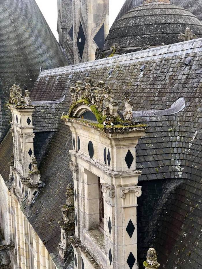 A gothic French Castle with moss growing on the rooftop 