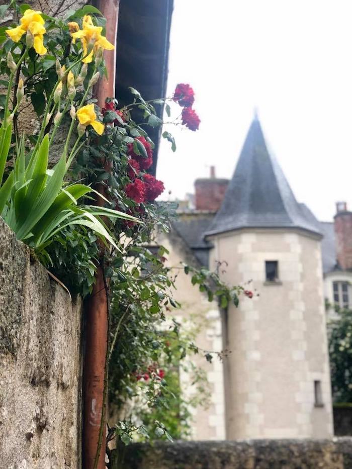 Yellow daffadils in a planter on an old French building