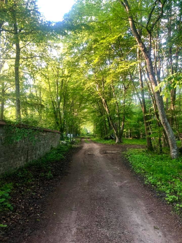 A beautiful dirt path with green trees and a stone wall in Barbizon France