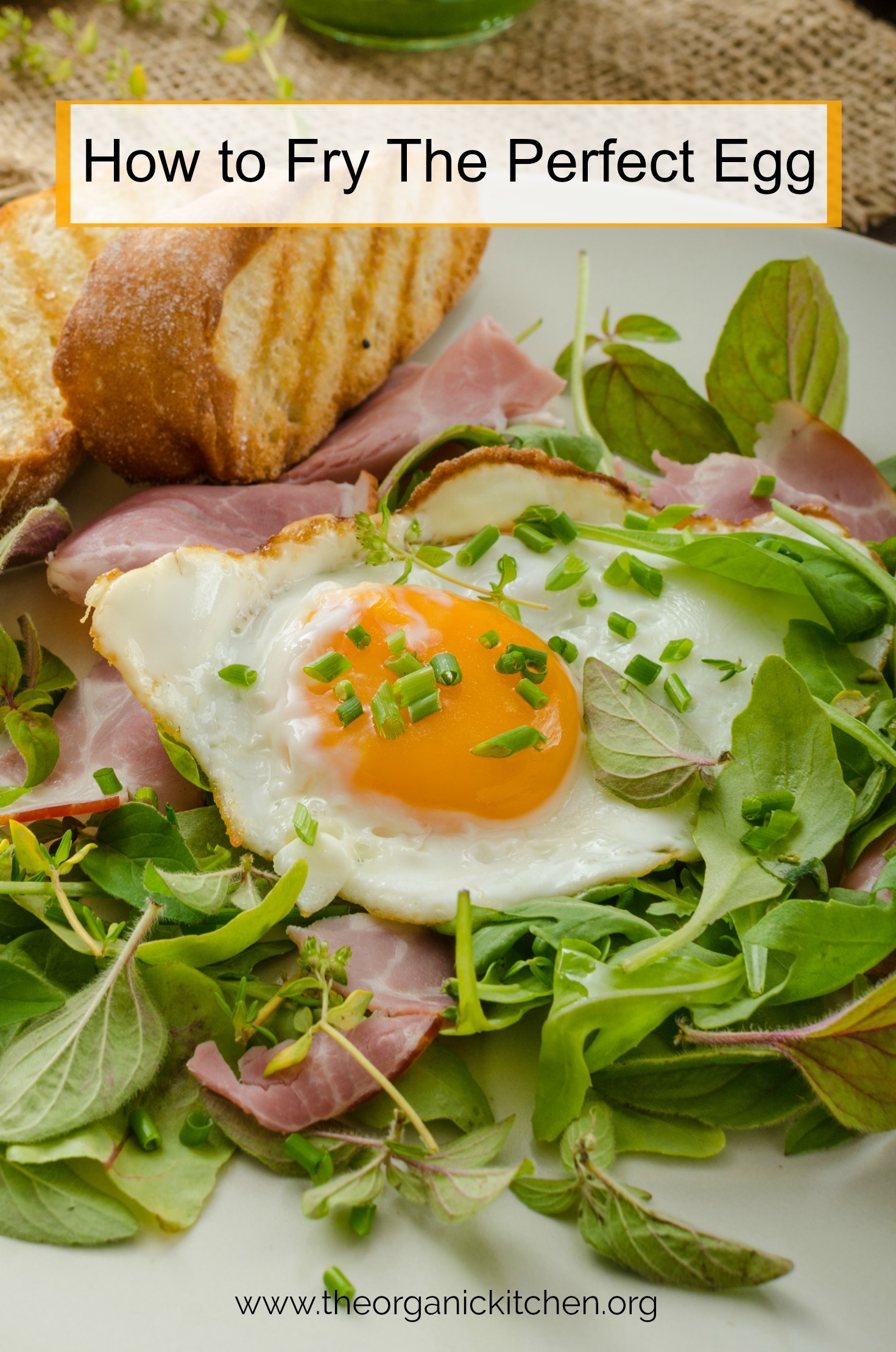 A fried egg in a bed of lettuce and ham: How To Fry the Perfect Egg!