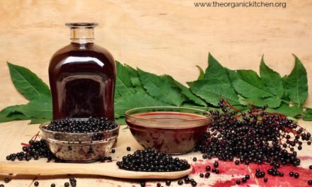 Elderberry Syrup with Low Carb Option!