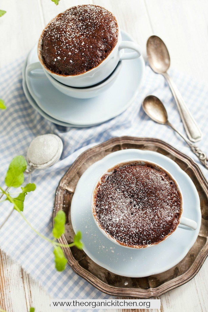 Double Chocolate Mug Cake! #DoubleChocolateMugCake #glutenfreemugcake #eggfreemugcake