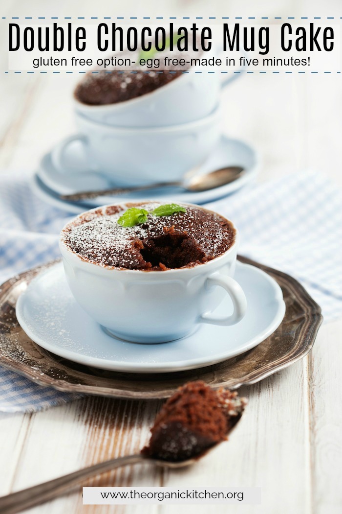 Double Chocolate Mug Cake! #DoubleChocolateMugCake #glutenfreemugcake #eggfreemugcake