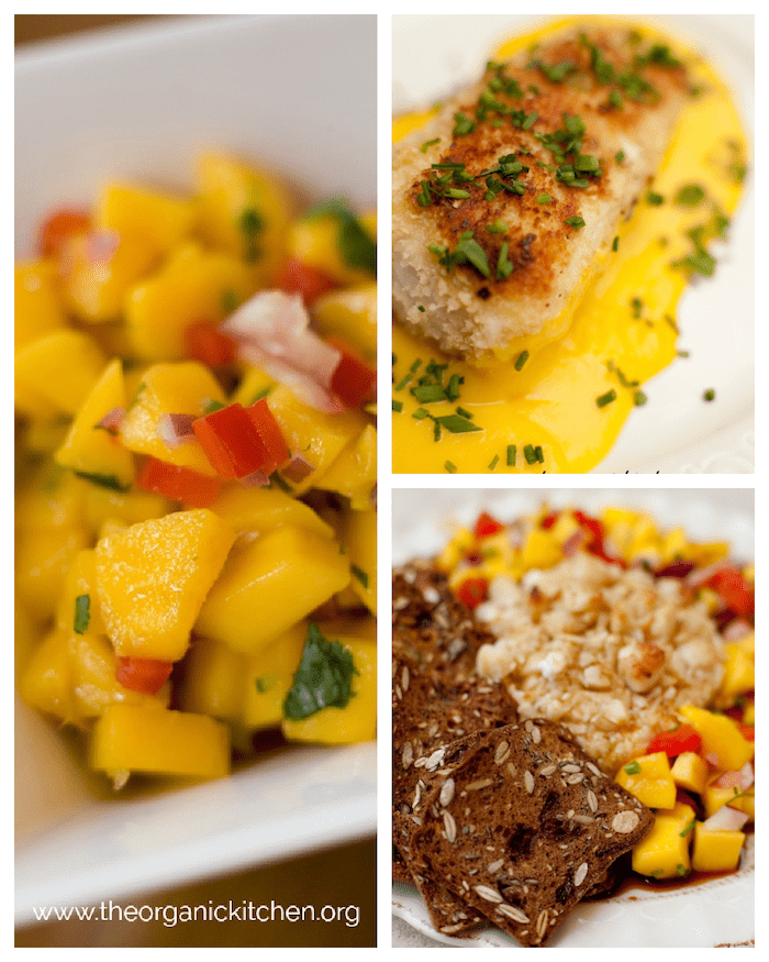 A collage of mango salsa, halibut with mango sauce, and mango chutney!