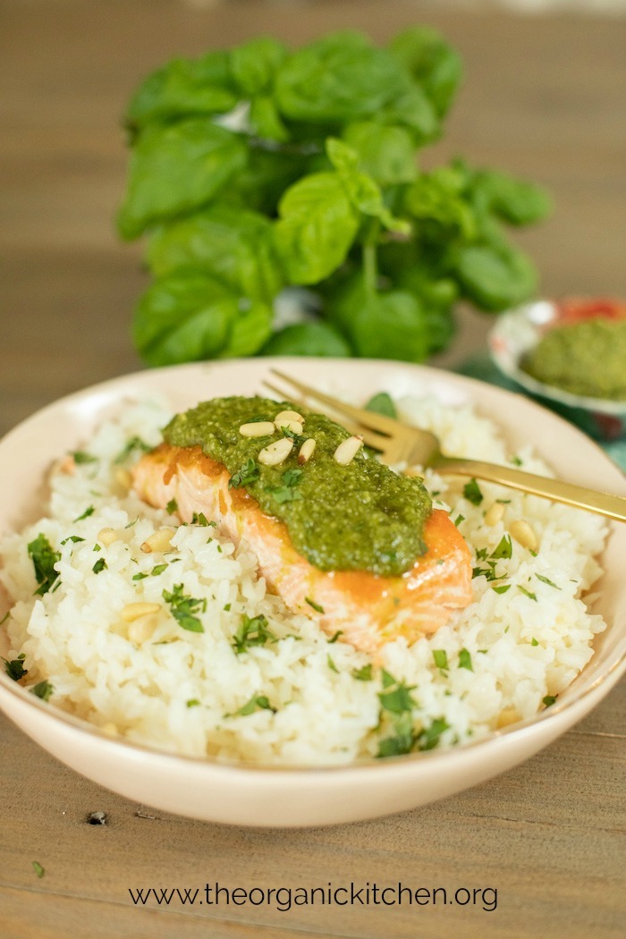 Pesto Salmon on rice with fresh basil in the background