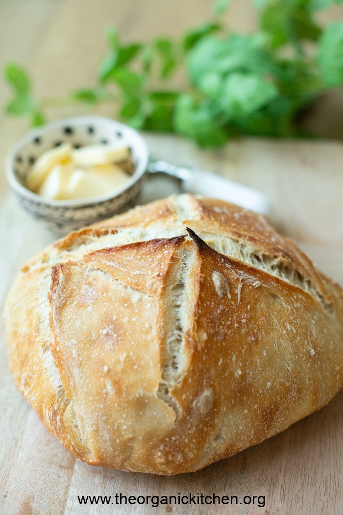 A freshly baked loaf of golden sourdough bread on a cutting board, with butter and basil in background