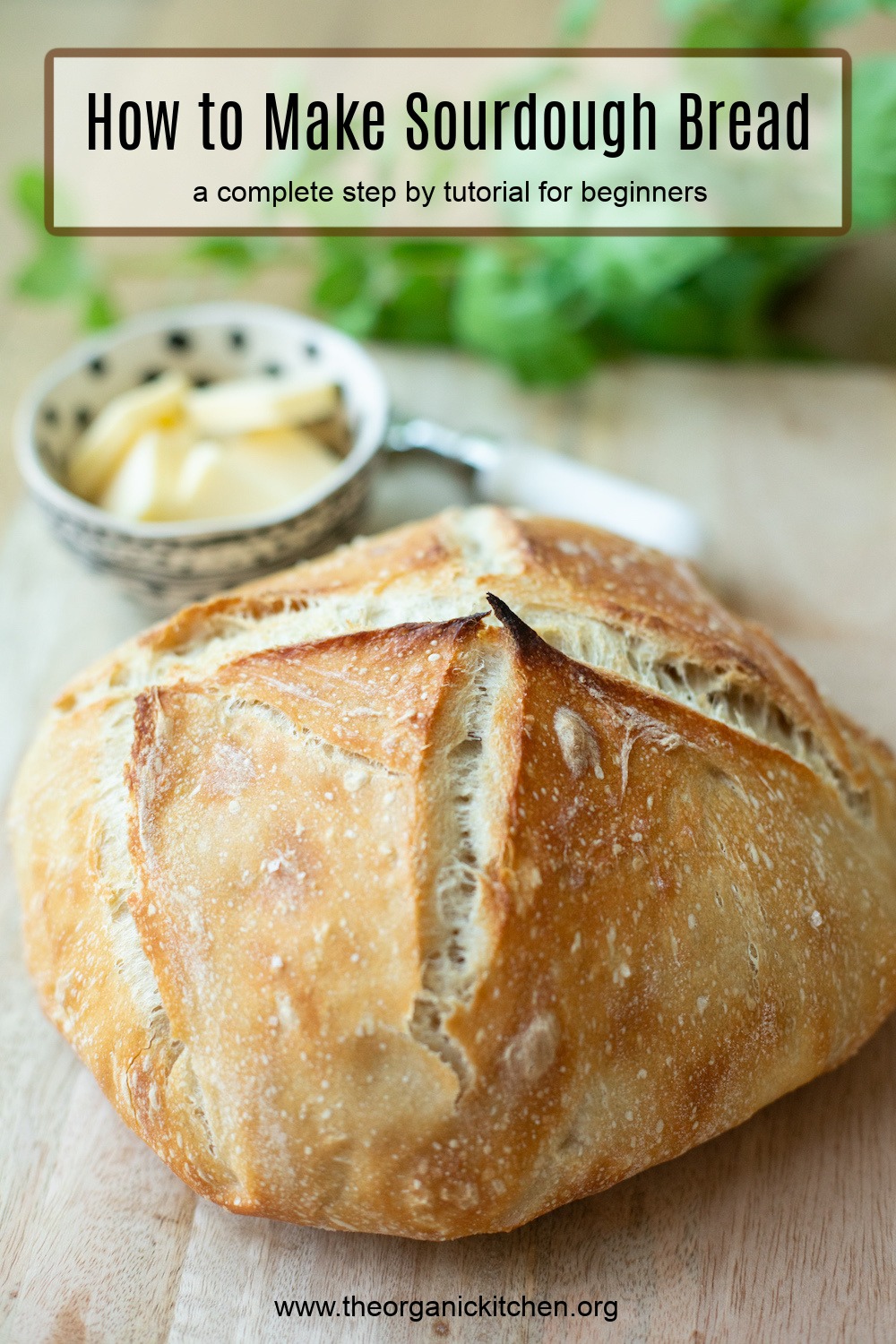 A loaf of freshly baked sourdough bread with a dish of butter and basil in background