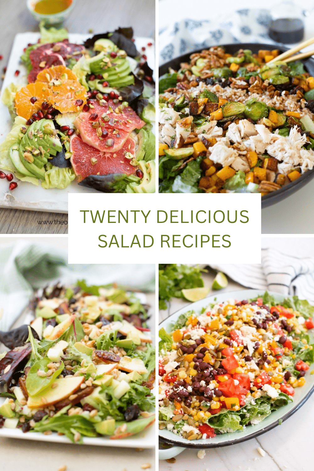 A collage ofr four salads as part of 20 Delicious Salad Recipes