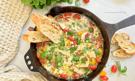Warm Tomato Burrata Dip