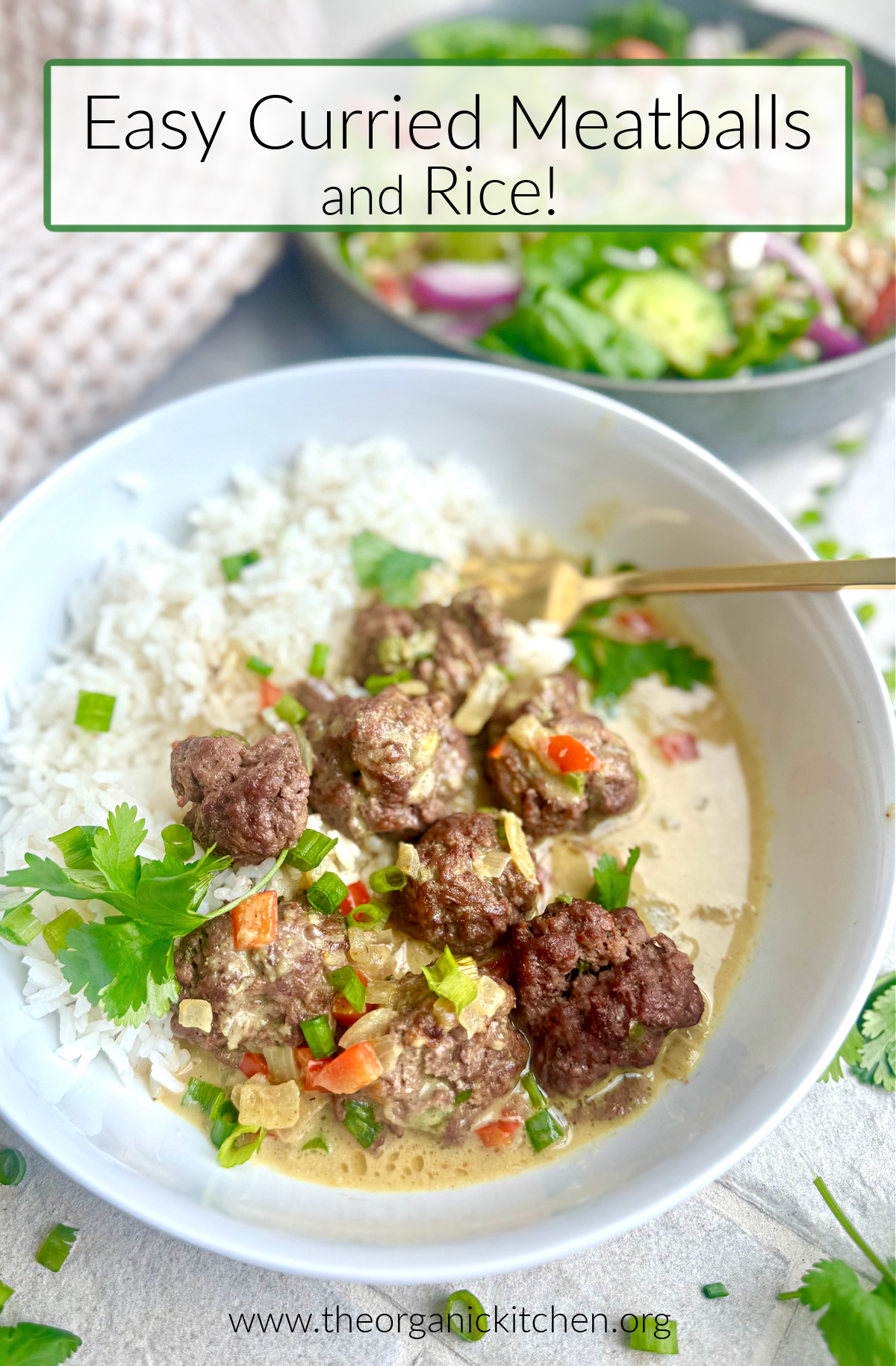 Easy Curried Meatballs and Rice garnished with cilantro and green onions in a white bowl with gold fork
