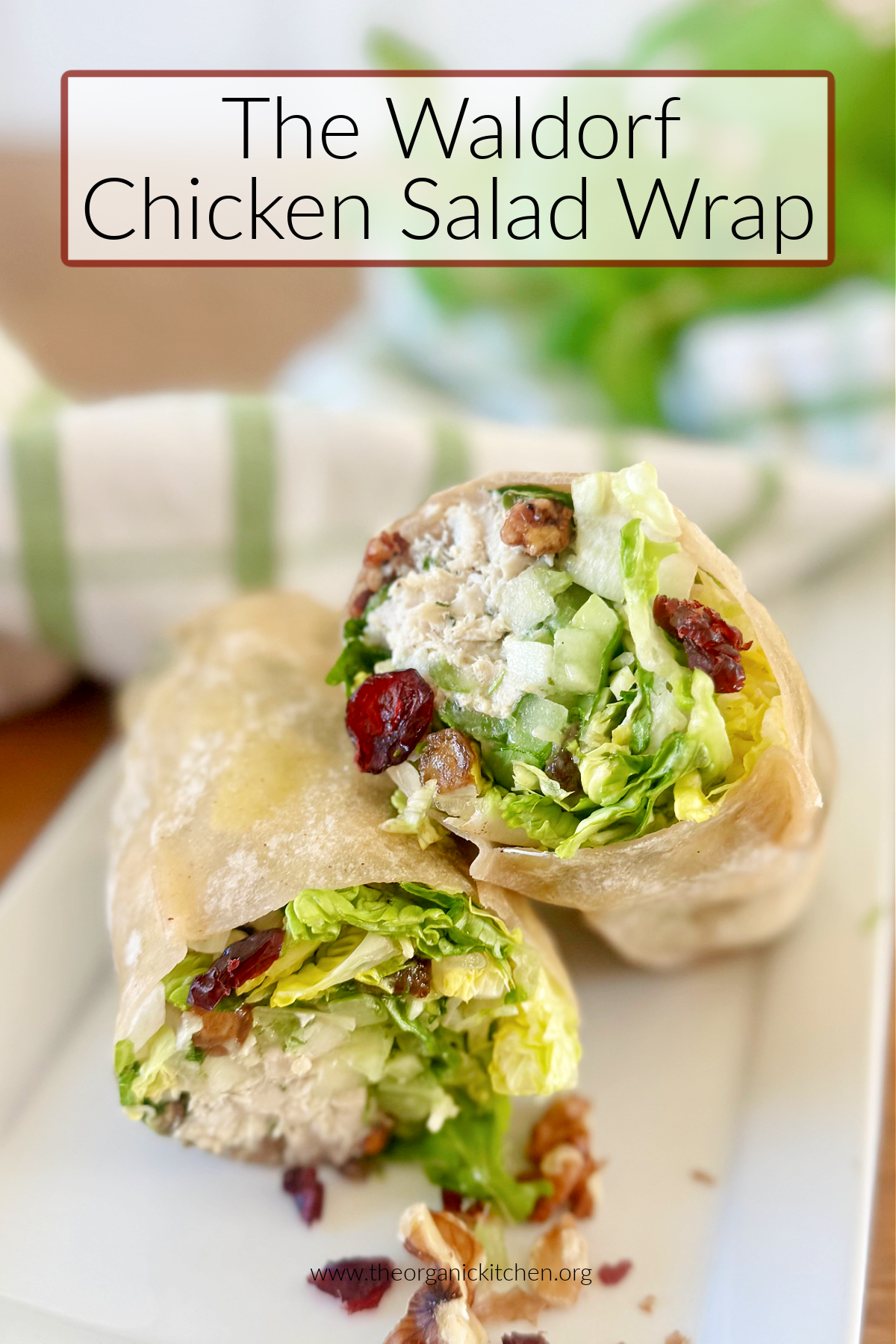 The Waldorf Chicken Salad Wrap The Waldorf Chicken Salad Wrap with cranberries and walnuts on white platter with green and white dish towel in background