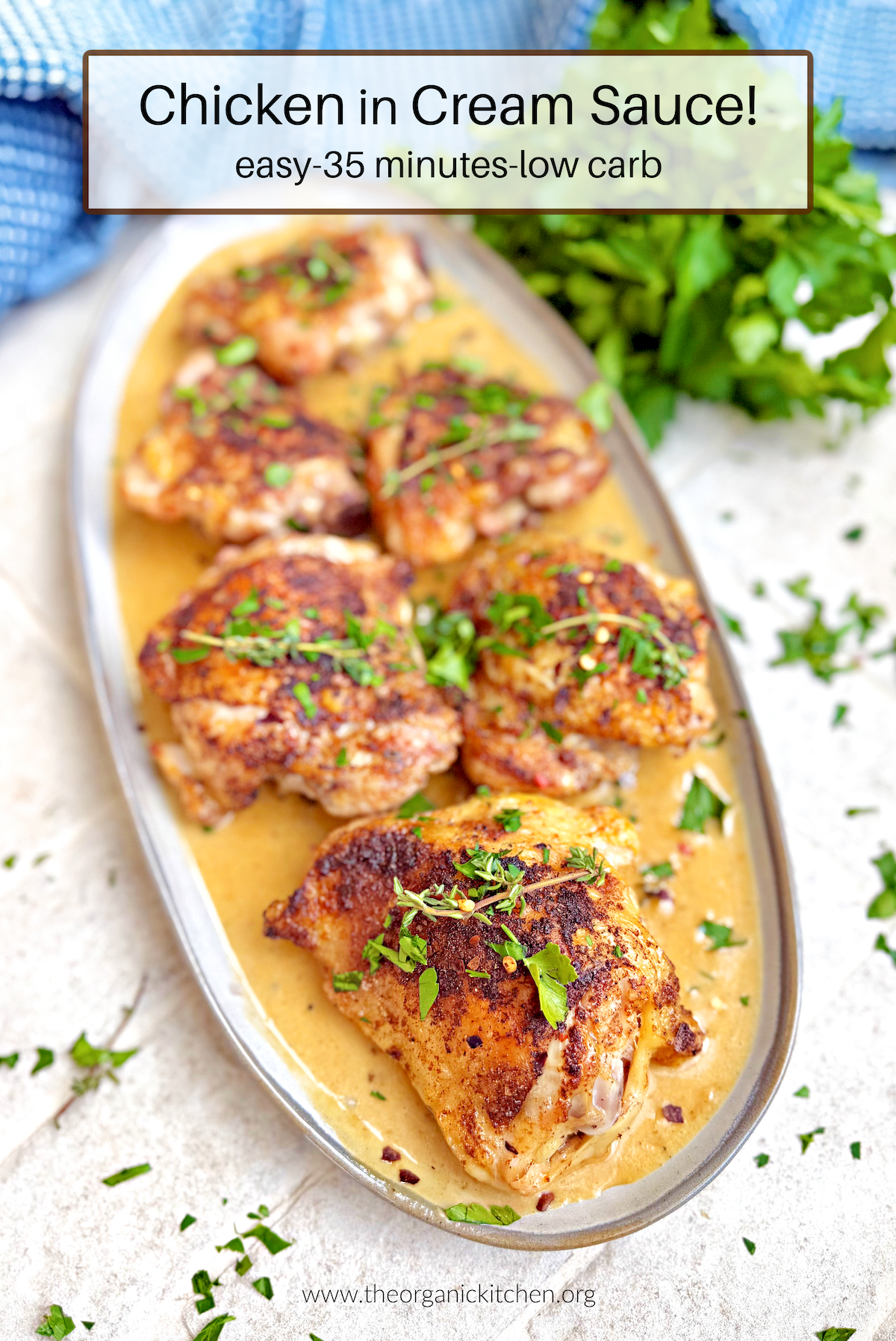 Chicken in Cream Sauce Chicken in Cream Sauce on grey plate with herbs and blue dish towel in the background