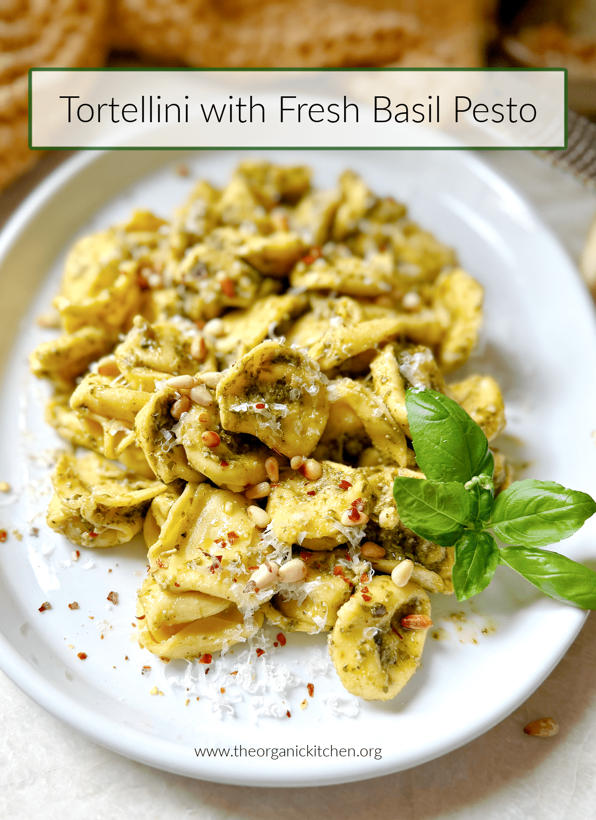 Tortellini with Fresh Basil Pesto Tortellini with Fresh Basil Pesto garnished with red pepper flakes and basil on white plate