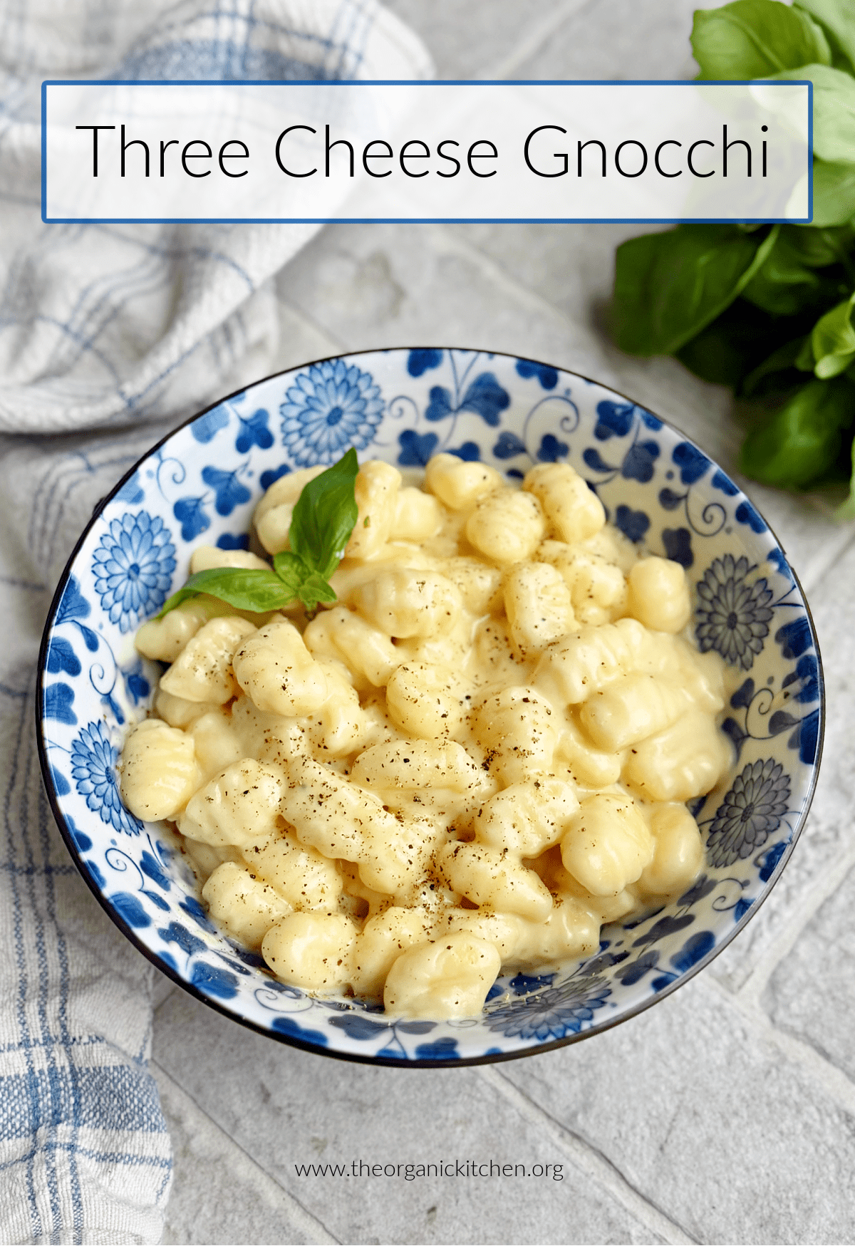 Three Cheese Gnocchi in a blue and white bowl with basil in the background