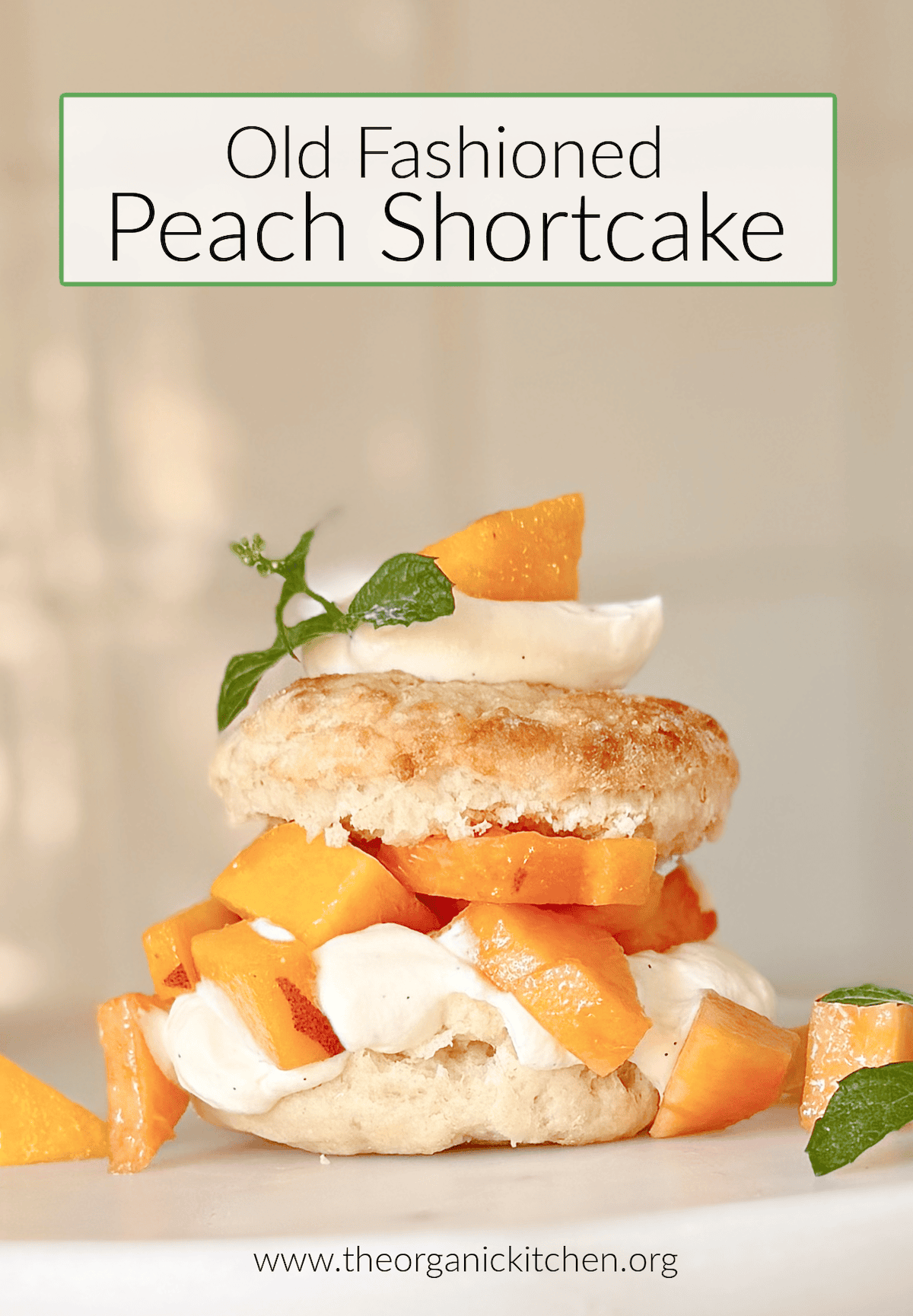 Old Fashioned Peach Shortcake Old Fashioned Peach Shortcake garnished with mint leaves on a white plate