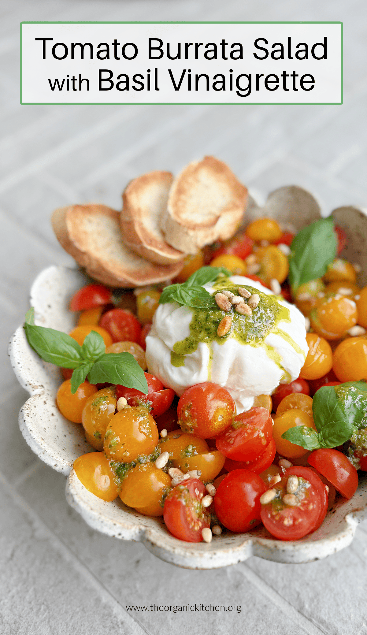 Tomato Burrata Salad with Basil Vinaigrette Tomato Burrata Salad with Basil Vinaigrette with three pieces of toasted baguette in a white bowl on grey brick surface